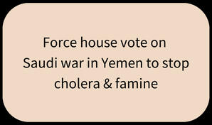 Force house vote on Saudi war in Yemen to stop cholera & famine