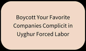 Boycott Your Favorite Companies Complicit in Uyghur Forced Labor